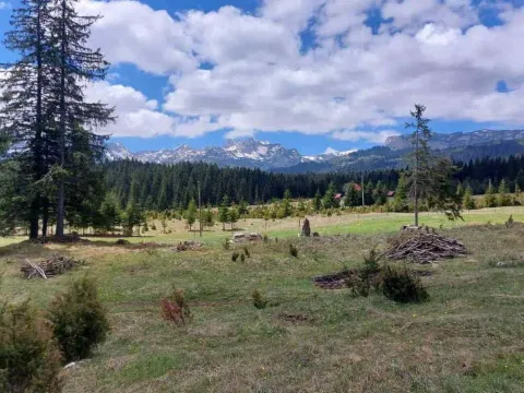 Sale, land lot, 17500m², Uskoci, Žabljak - image 5