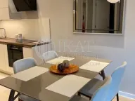 Izdavanje, dvosoban stan, 50m², Novi Beograd Sve Podlokacije, Beograd - image 8