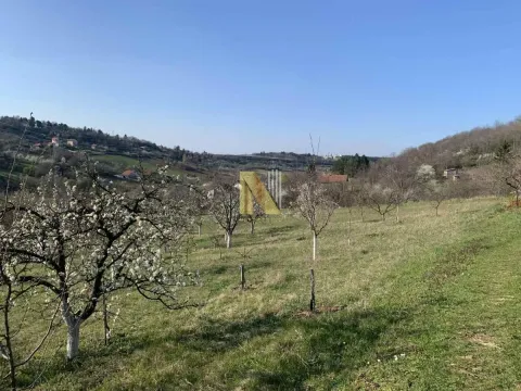 Prodaja, plac, 986m², Sremska Kamenica, Petrovaradin - image 2