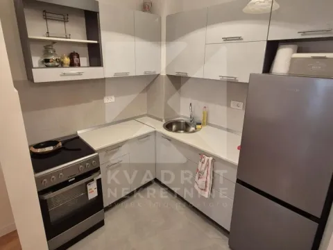 Rent, one bedroom apartment, 40m², Central Point, Podgorica - image 4