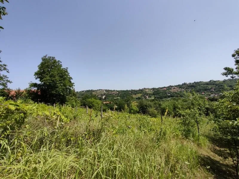Prodaja, plac, 6000m², Paragovo, Petrovaradin