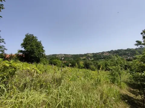 Sale, land lot, 6000m², Paragovo, Petrovaradin - image 7