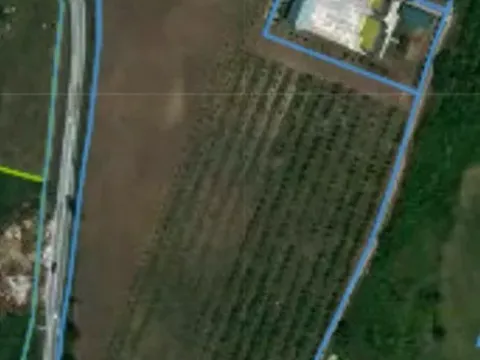 Prodaja, kuća, 170m², Kosmaj, Sopot - image 3