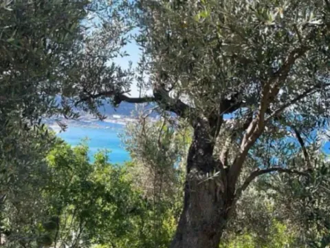 Prodaja, plac, 2000m², Šušanj, Bar - image 7