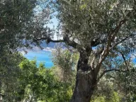 Sale, land lot, 2000m², Šušanj, Bar - image 7