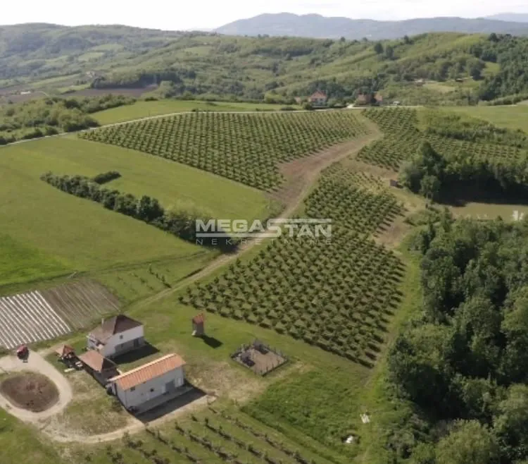 Prodaja, plac, 74500m², Arandjelovac, Srbija