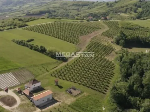 Prodaja, plac, 74500m², Arandjelovac, Srbija - image 2