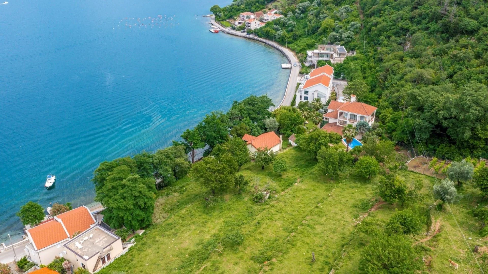 Prodaja, plac, 2441m², Stoliv, Kotor