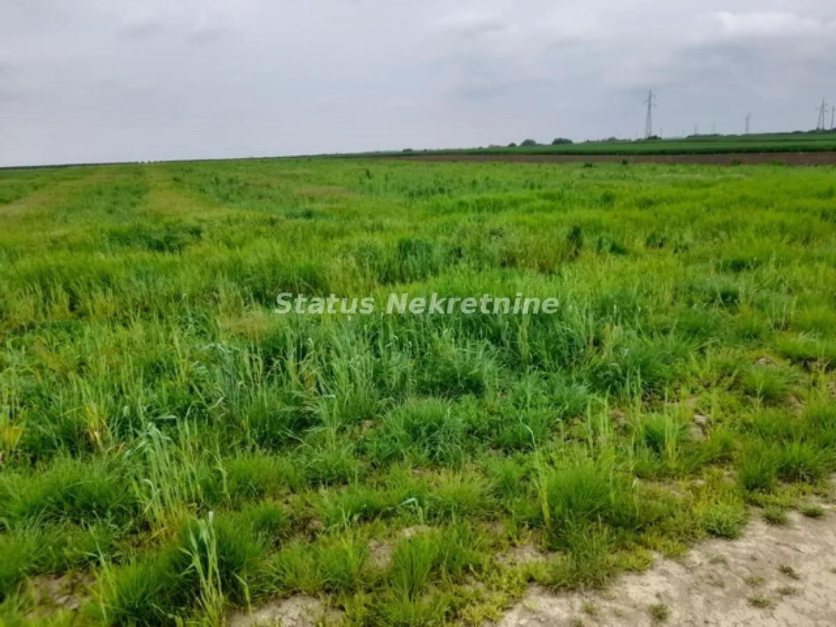 Prodaja, plac, 115m², Futog, Novi Sad Sve Podlokacije