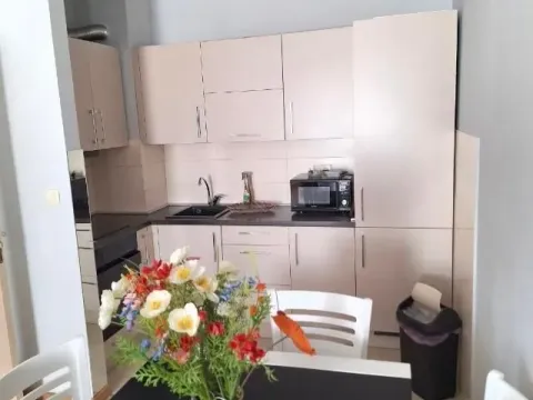 Izdavanje, jednosoban stan, 46m², City Kvart, Podgorica - image 3