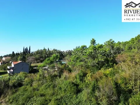 Prodaja, plac, 12341m², Mrčevac, Tivat - image 8