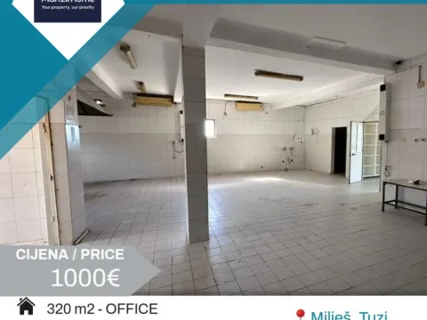 Izdavanje,  poslovni prostor, 320m2, Tuzi, Podgorica