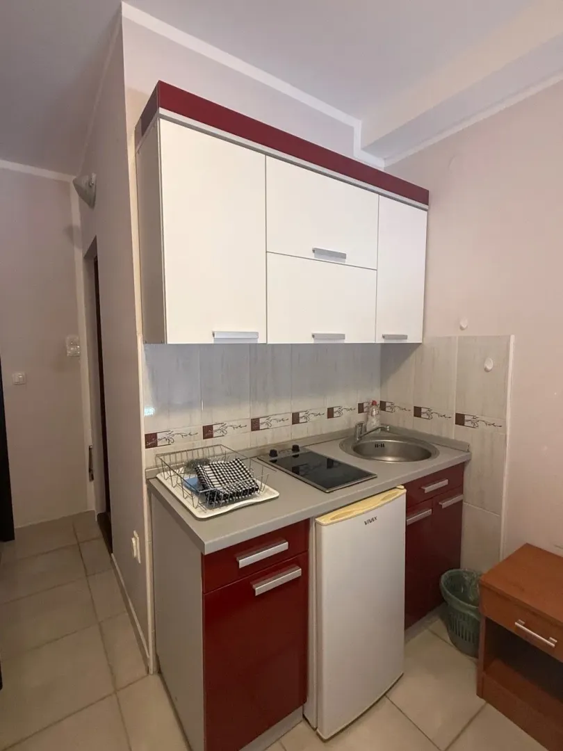 Manja kuhinja sa sudoperom, ugradnom pločom i frižiderom.