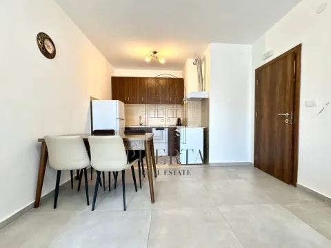 Izdavanje, jednosoban stan, 48m², Stari Aerodrom, Podgorica - image 4