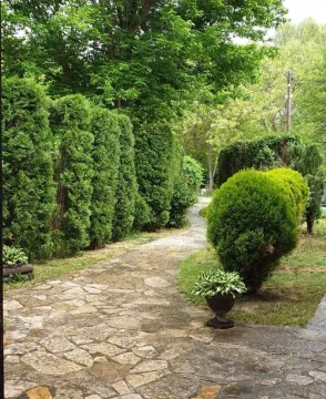 Popločana staza u uređenom dvorištu okruženom zelenilom. - image 12
