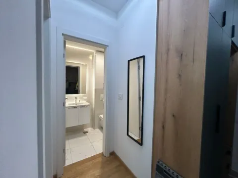 Izdavanje, jednosoban stan, 48m², Stari Aerodrom, Podgorica - image 5