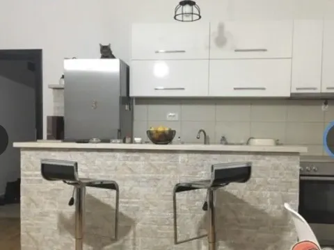 Rent, one bedroom apartment, 48m², Zabjelo, Podgorica - image 2