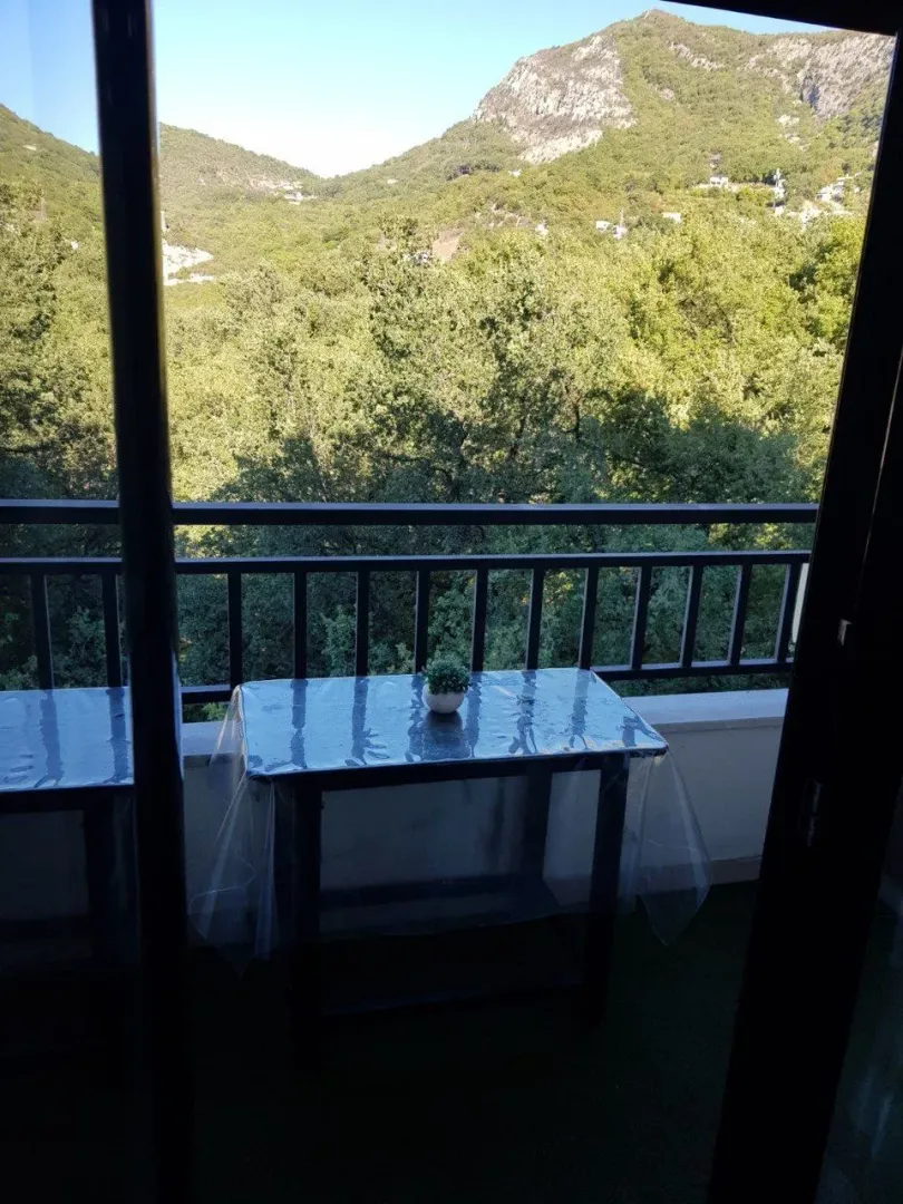 Terasa sa stolom i pogledom na šumu i brda.