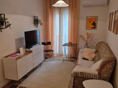 Izdavanje, jednosoban stan, 40m², Central Point, Podgorica - image 9