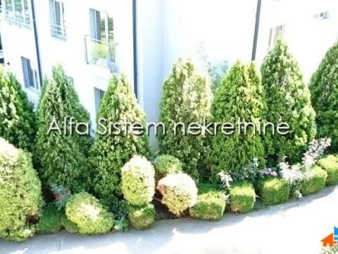 Izdavanje, kuća, 330m², Savski Venac, Beograd - image 22