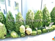 Izdavanje, kuća, 330m², Savski Venac, Beograd - image 22