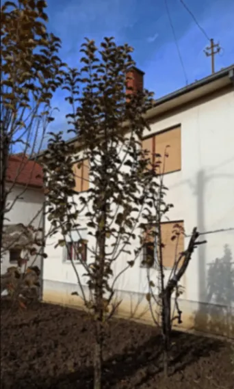 Prodaja, kuća, 212m², Zlatokop, Vranje
