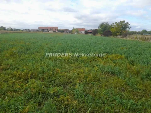Sale, land lot, 83m², Dobanovci, Surčin