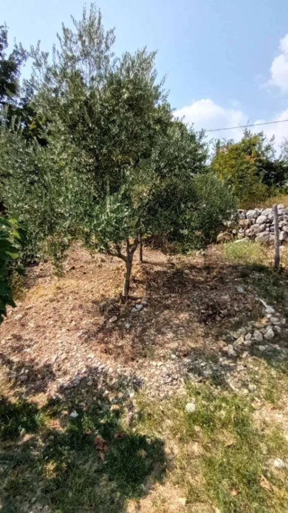 Prodaja, plac, 3660m², Crmnica, Podgorica