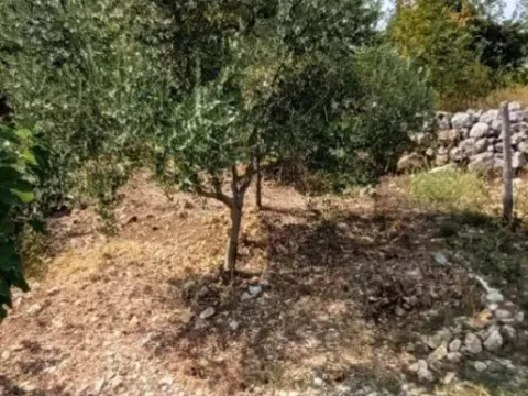 Prodaja, plac, 3660m², Crmnica, Podgorica - image 8