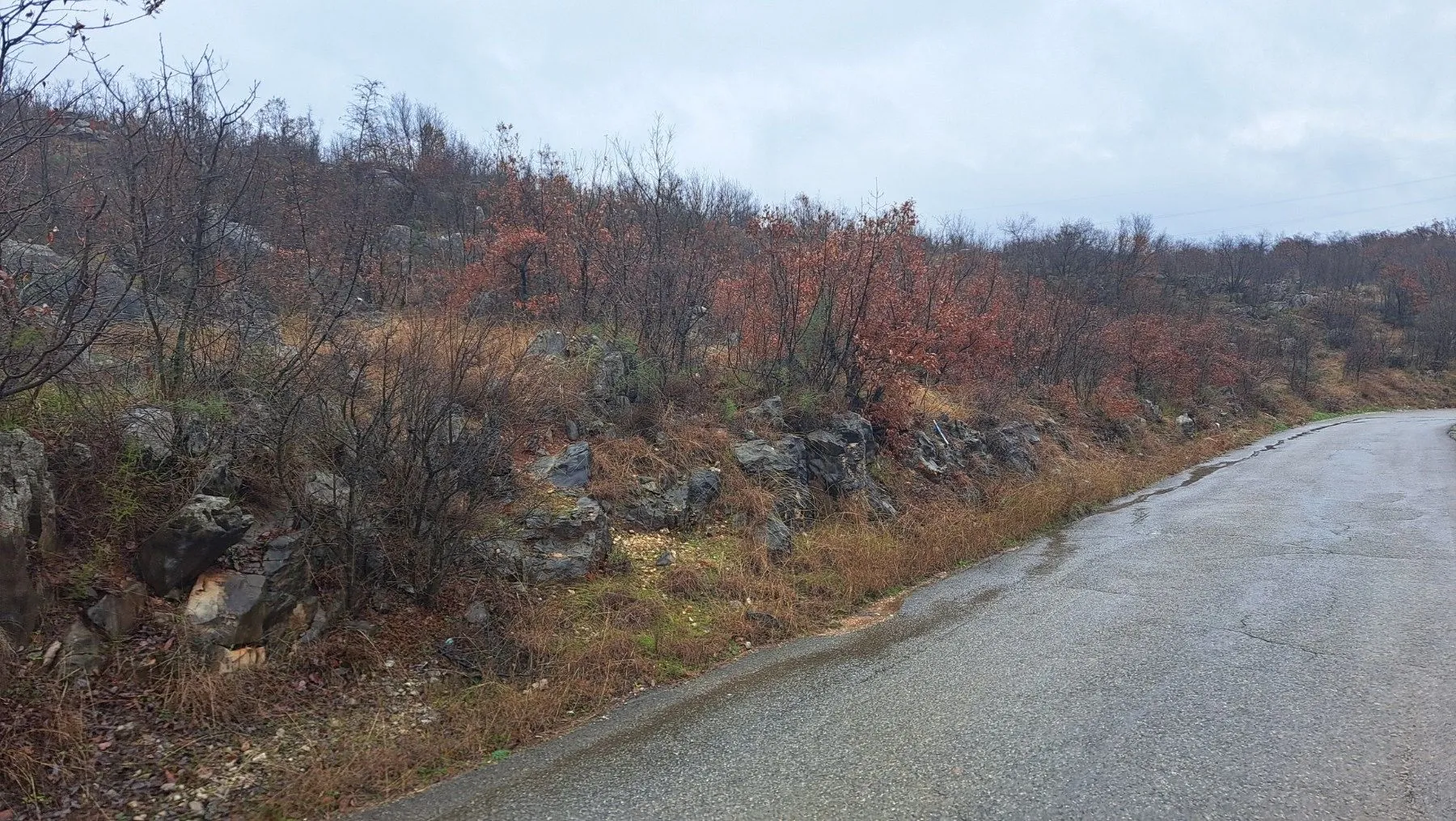 Prodaja, plac, 500m², Rogami, Podgorica