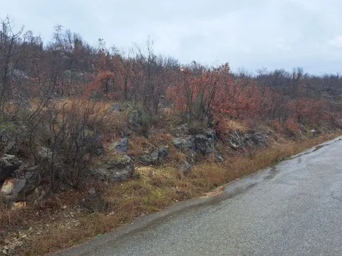 Prodaja, plac, 500m², Rogami, Podgorica - image 3