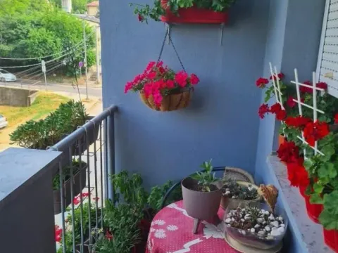 Sale, four bedroom apartment, 82m², Palilula, Niš - image 13