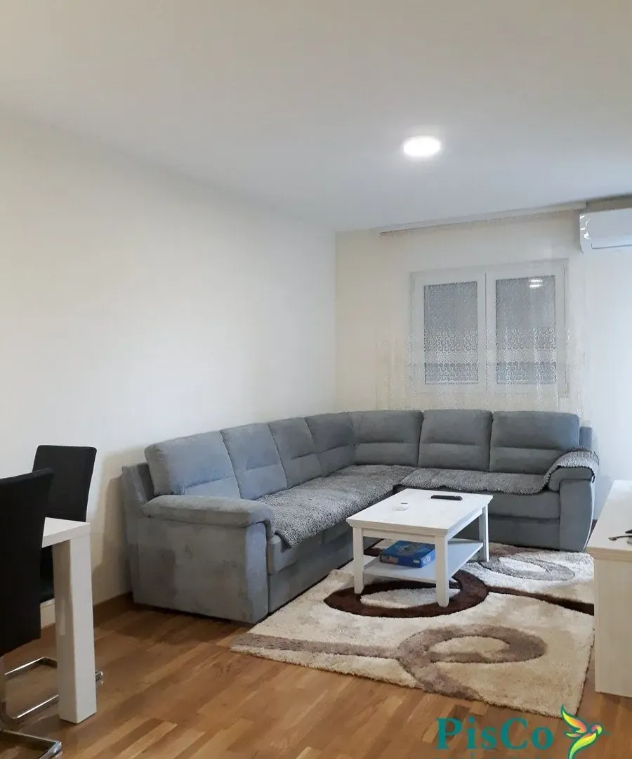 Izdavanje, jednosoban stan, 45m², Zagorič, Podgorica