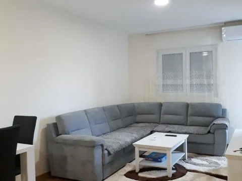 Izdavanje, jednosoban stan, 45m², Zagorič, Podgorica - image 1