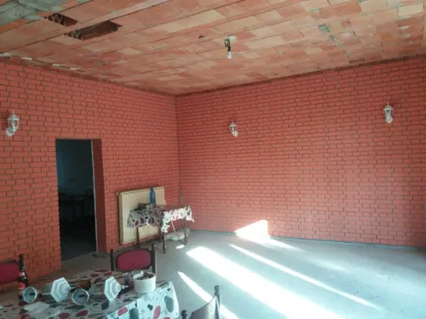 Izdavanje, poslovni prostor, 250m², Plandište, Srbija - image 9