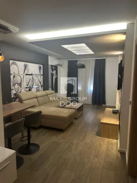 Izdavanje, dvosoban stan, 50m², Zemun Sve Podlokacije, Beograd - image 19