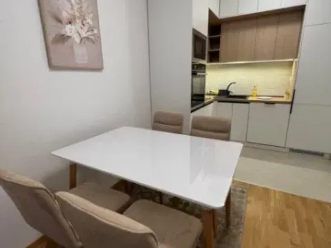 Izdavanje, jednosoban stan, 51m², Ljubović, Podgorica - image 3