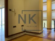 Izdavanje, poslovni prostor, 130m², Momišići, Podgorica - image 12