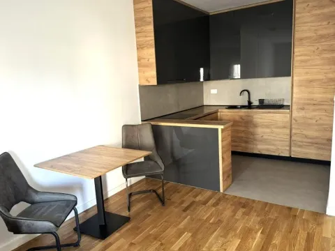 Izdavanje, jednosoban stan, 47m², Zabjelo, Podgorica - image 8