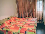 Prodaja, jednosoban stan, 50m², Gintaš, Podgorica - image 10