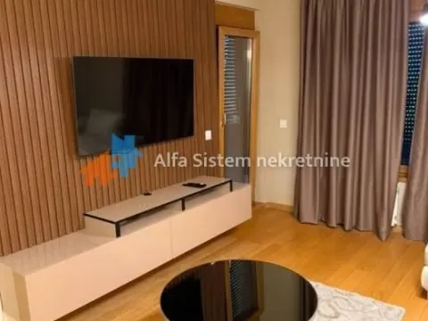 Rent, two bedroom apartment, 55m², Južni Bulevar, Vračar Sve Podlokacije - image 3