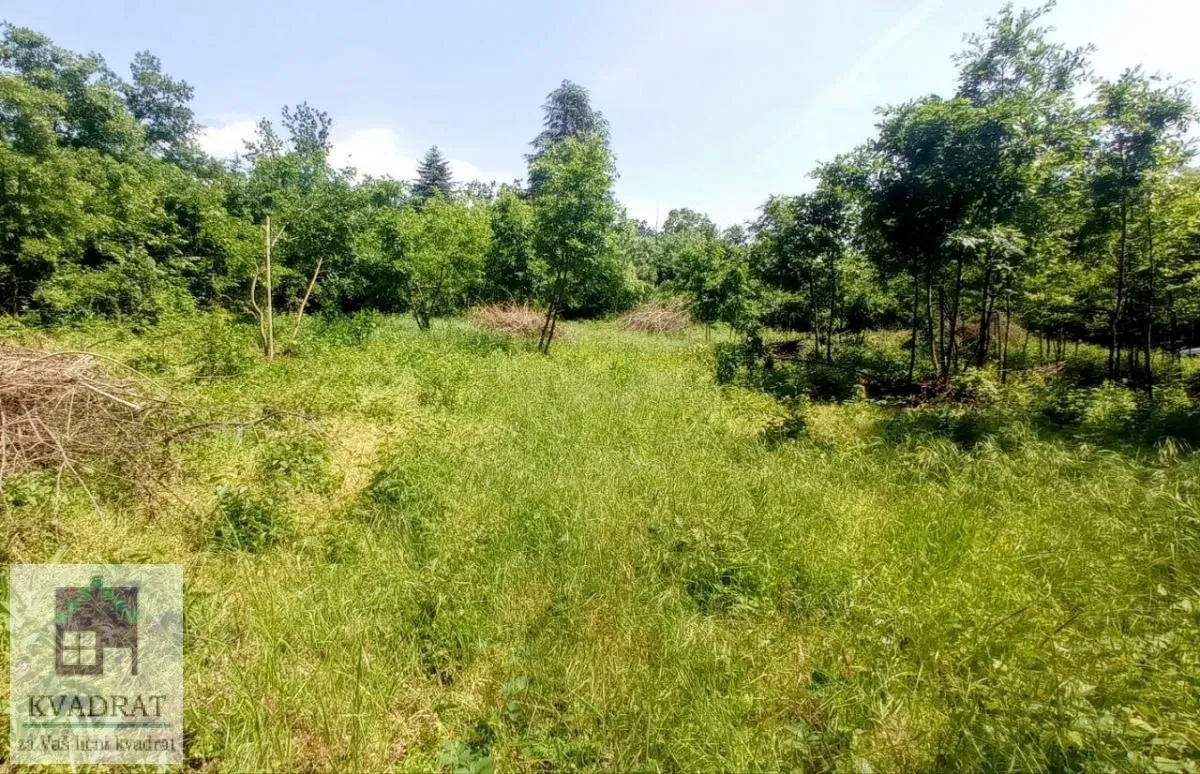 Prodaja, plac, 3000m², Konatice, Obrenovac