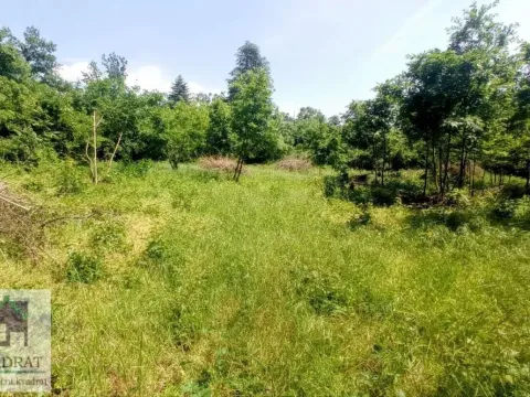 Sale, land lot, 3000m², Konatice, Obrenovac - image 3