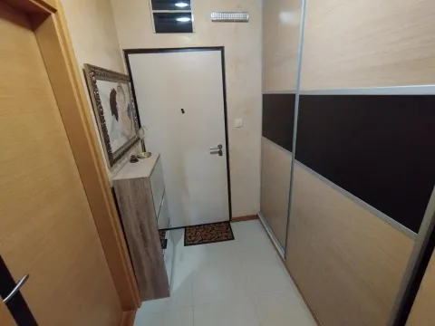 Rent, one bedroom apartment, 50m², Ljubović, Podgorica - image 13