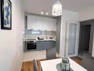 Izdavanje, jednosoban stan, 50m², Central Point, Podgorica - image 5