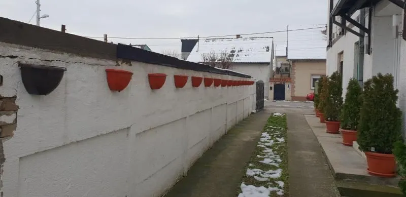 Sale, house, 280m², Telep, Novi Sad Sve Podlokacije