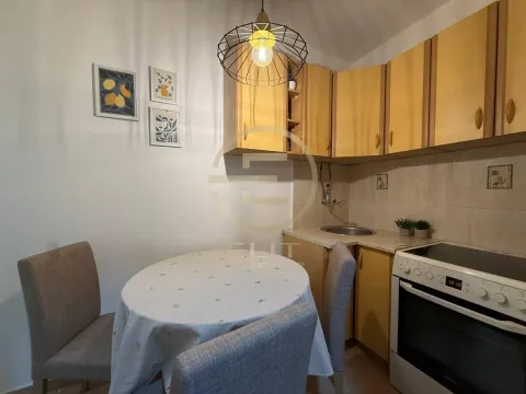 Izdavanje, stan, 47m², Bulevar Oslobodjenja, Novi Sad Sve Podlokacije - image 6