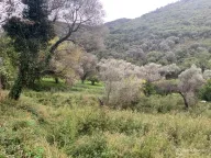 Prodaja, plac, 204100m², Stoliv, Kotor - image 8