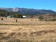 Sale, land lot, 1450m², Žabljak, Crna Gora - image 8