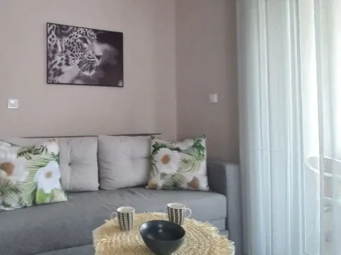 Izdavanje, garsonjera, 34m², Golubovina, Budva - image 3